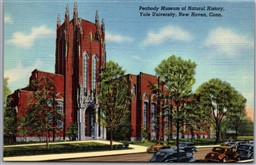 Postcard New Haven Connecticut Peabody Museum Nathural History Yale University