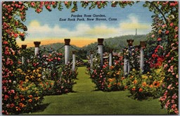 Postcard New Haven Connecticut East Rock Park Pardee Rose Garden