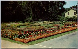 Postcard Hartford Connecticut Flower Gardens in Elizabeth Park
