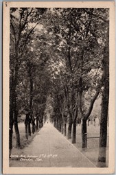 Postcard Brandon Manitoba c1920s Lorne Ave Between 5th & 6th Streets Heliotype