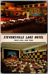 Postcard Swan Lake New York c1960s Stevensville Lake Hotel Dual View MCM