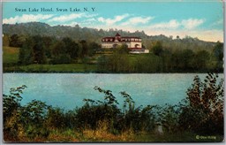 Postcard Swan Lake New York c1910s Hotel Scenic Dual View by Otto Hillig