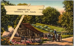 Postcard Greetings from Tavistock Ontario Oxford County