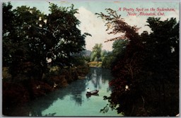 Postcard Alvinston Ontario c1910s A Pretty Spot on the Sydenham River Stedman
