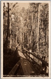 Postcard RPPC Waycross Georgia Walkway Scene Okefenokee Swamp Park Ware County