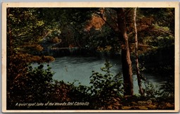 Postcard Lake of The Woods Ontario c1910s A Queit Spot Scenic View CPR