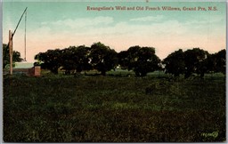 Postcard Grand Pre Nova Scotia c1910s Evangeline's Well and Old French Willows
