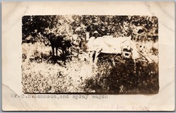 Postcard RPPC Grand Junction Colorado Mr. C. E. Johnson and Spray Wagon