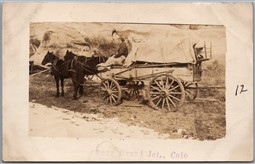 Postcard RPPC Grand Junction Colorado Person Riding Horse Wagon