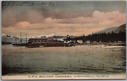 Postcard Wrangell Alaska 1909 A.P.A. Salmon Cannery by Albertype F. Matheson