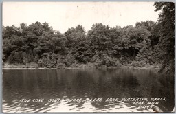 Postcard RPPC Grass Lake Michigan The Cove South Shore Clear Lake Waterloo