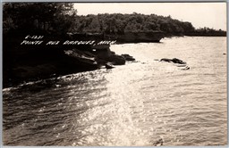 Postcard RPPC Pointe aux Barques Michigan Scenic View Huron County by L. L. Cook