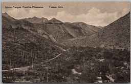 Postcard Tuscon Arizona c1910s Sabino Canyon Catalina Mountains by Albertype