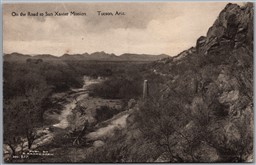 Postcard Tuscon Arizona c1910s On the road to San Xavier Mission by Albertype