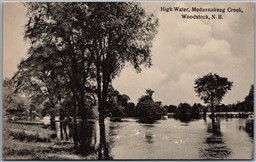 Postcard Woodstock New Brunswick High Water Meduxnekeag Creek Carleton County