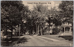 Postcard Woodstock New Brunswick Connell Street Carleton County
