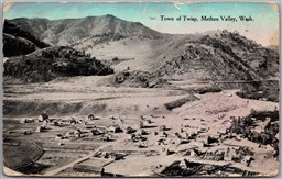 Postcard Twisp Washington c1908 Methou Valley Town View Okanogan County *as is*