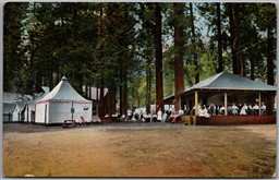 Postcard Yosemite California c1910s Camp Curry Village Tents by Boysen Studio