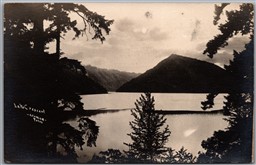 Postcard RPPC Olympic National Park Washington Lake Crescent by Wheeler Photo