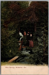 Postcard Walkerton Ontario c1910s Blue Springs Scenic View Bruce County