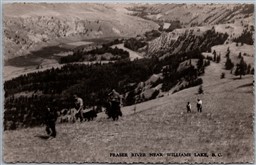 Postcard RPPC c1957 Cariboo British Columbia Fraser River Near Williams Lake