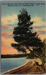 Postcard Raquette Lake New York Scenic View Golden Beach at Death Brook