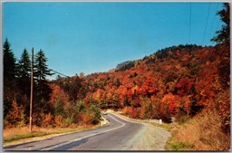 Postcard Colorful Autumn Scene New York Between Eagle Bay and Inlet Highway