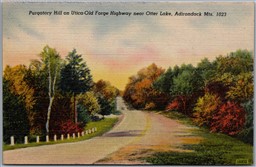 Postcard Otter Lake New York Utica Old Forge Highway Adirondack Mts. Scenic View