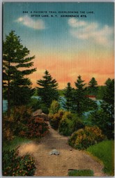 Postcard Otter Lake New York A Favorite Trail Overlooking The Lake Scenic View