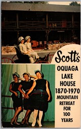 Postcard Deposit New York Scott's Oquaga Lake House Dual View Advert