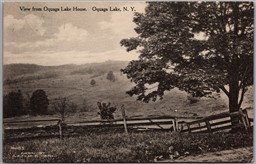 Postcard Oquaga Lake New York c1917 Scenic View Albertype Leslie E. Carl