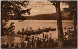 Postcard Deposit New York Scott's Oquaga Lake House Bathing Casino Albertype