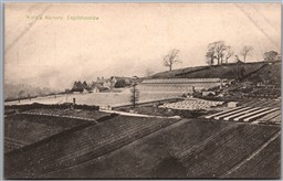 Postcard Englishcombe England c1910s Walter Ware's Nursery by H. Long of Bath