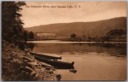 Postcard Oquaga Lake New York The Delaware River Scenic View by Albertype