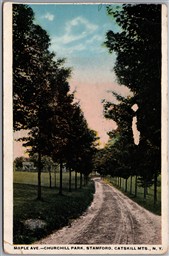 Postcard Stamford New York c1920s Churchill Park Maple Ave. Catskills *as is*