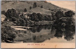 Postcard Walton New York c1907 Pine Hill Catskill Mountains Delaware County