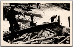 Postcard RPPC c1030s Celilo Falls Oregon Men Fishing Part of a Catch Salmon