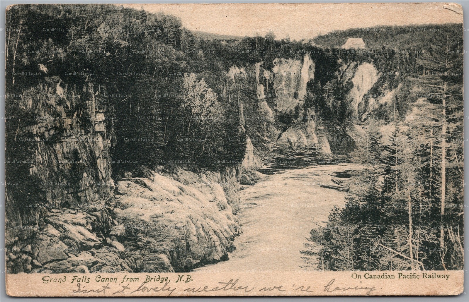 Postcard Grand Falls New Brunswick c1907 Split Ring Cancel Cranbrook Ontario