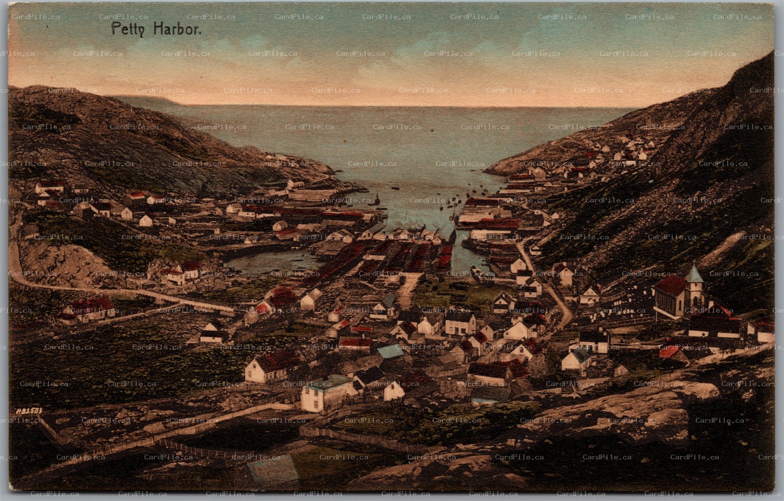 Postcard Petty Harbor Newfoundland c1910s Town View Maddox Cove by Ayre & Sons