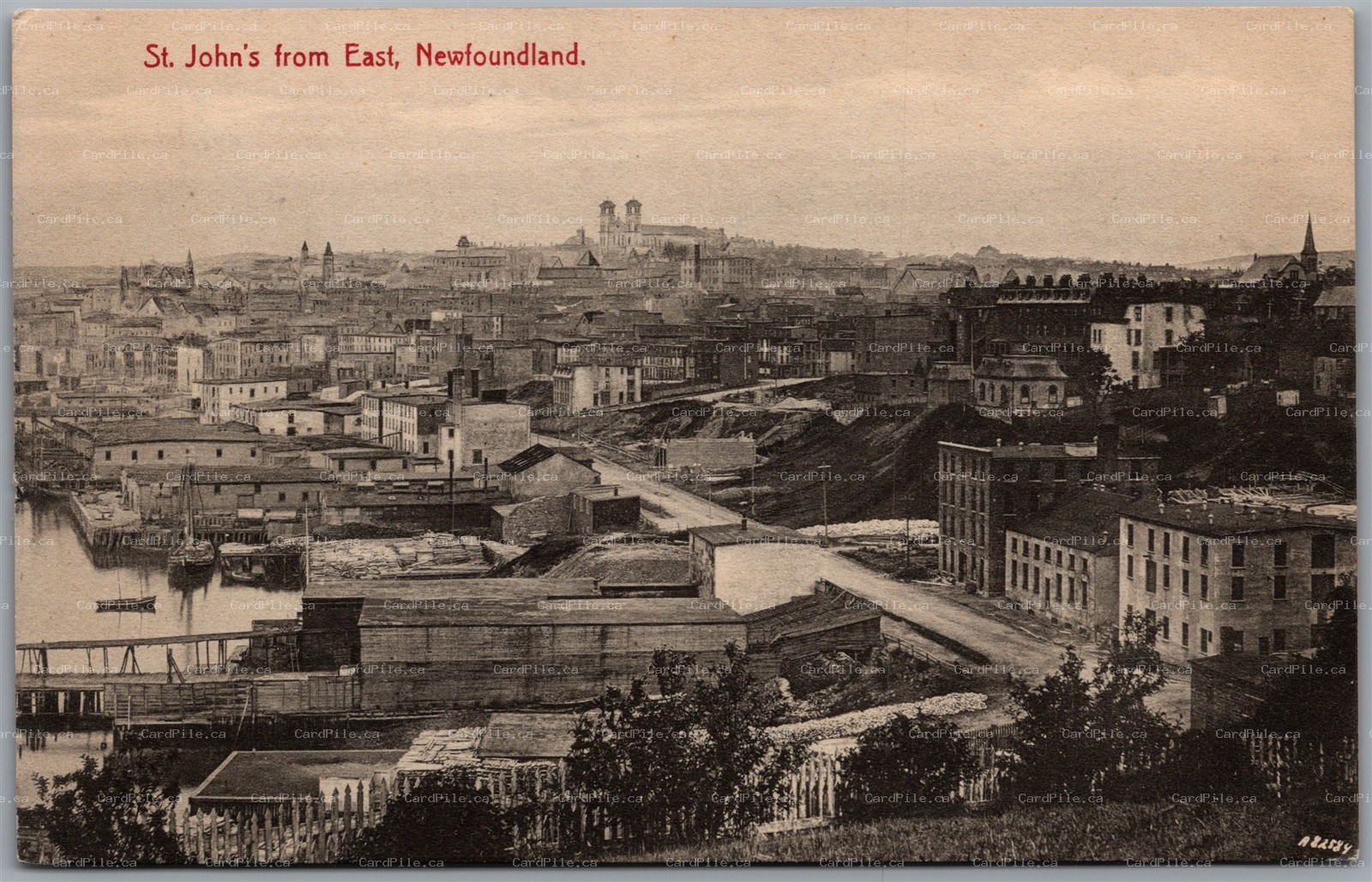 Postcard St. John's Newfoundland c1910s View From The East by Ayre & Sons