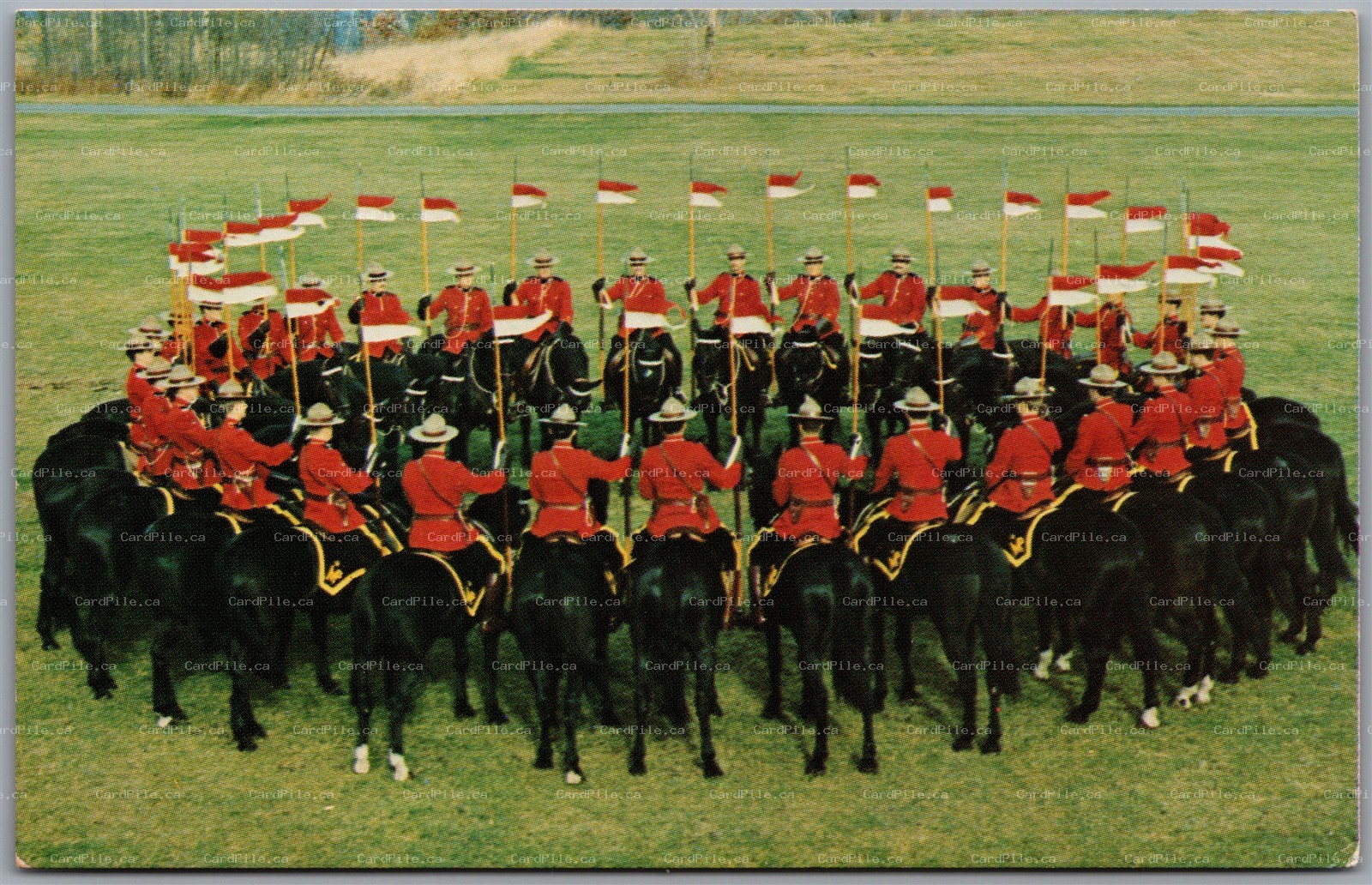 Postcard Brandon Manitoba RCMP Royal Canadian Mounted Police Musical Ride