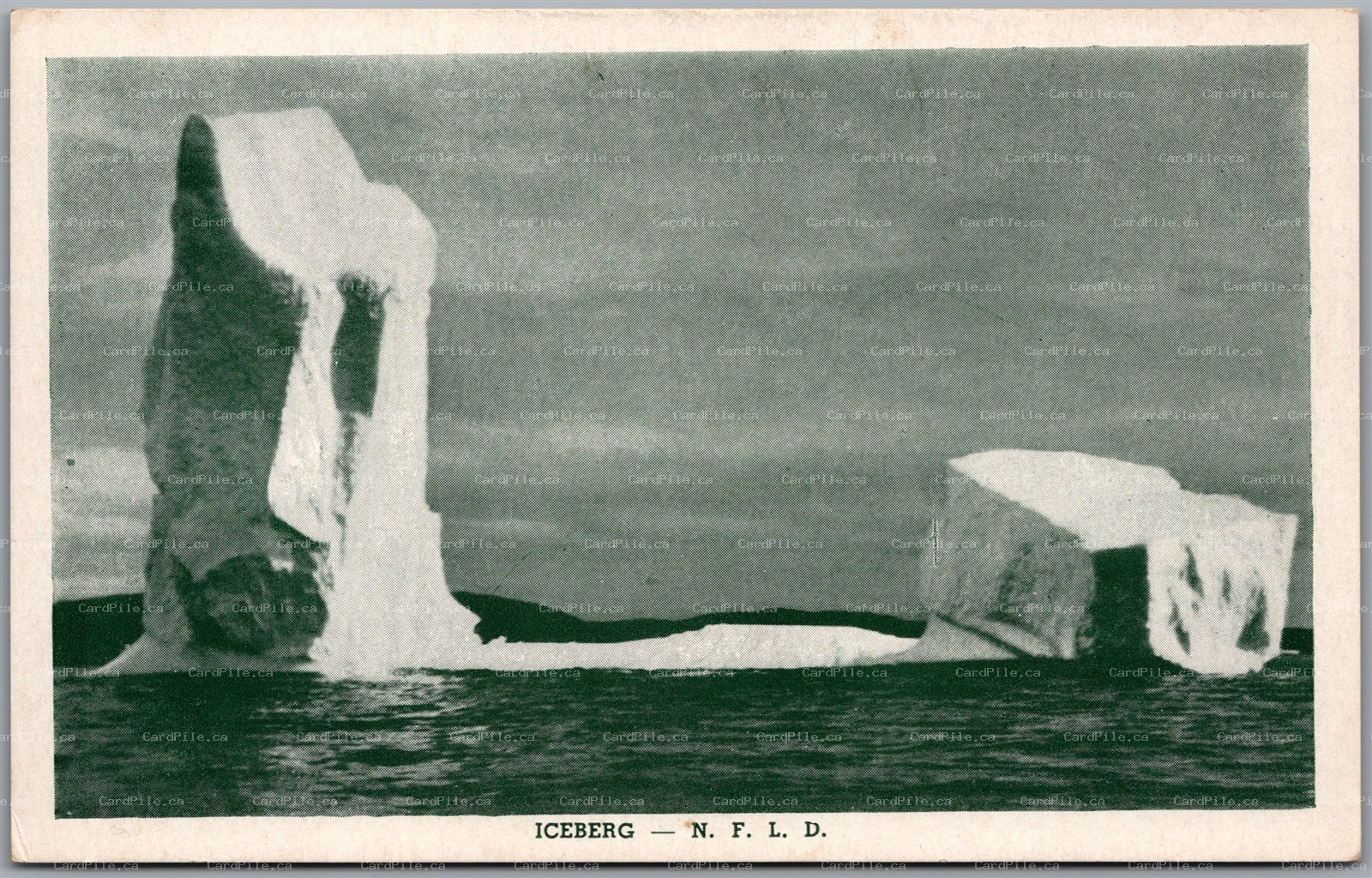 Postcard Newfoundland Iceberg by J. C. Parsons