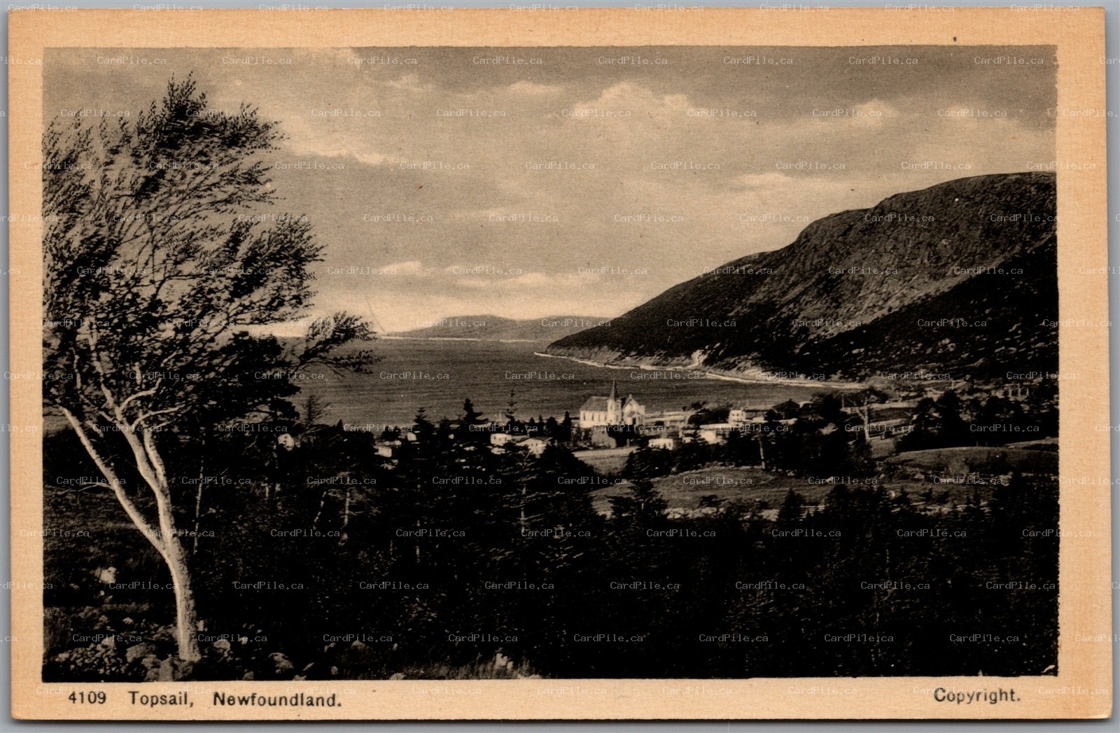 Postcard Topsail Newfoundland Scenic Town View by Ayre and Sons