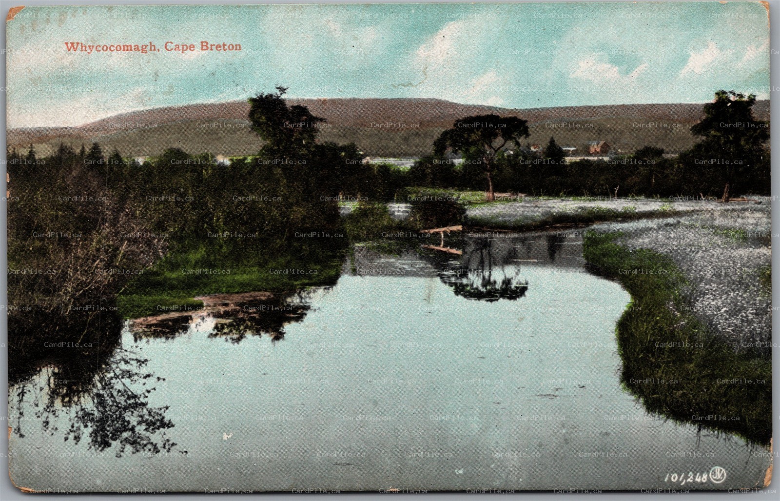 Postcard Cape Breton Island Nova Scotia c1906 Whycocomagh Scenic View