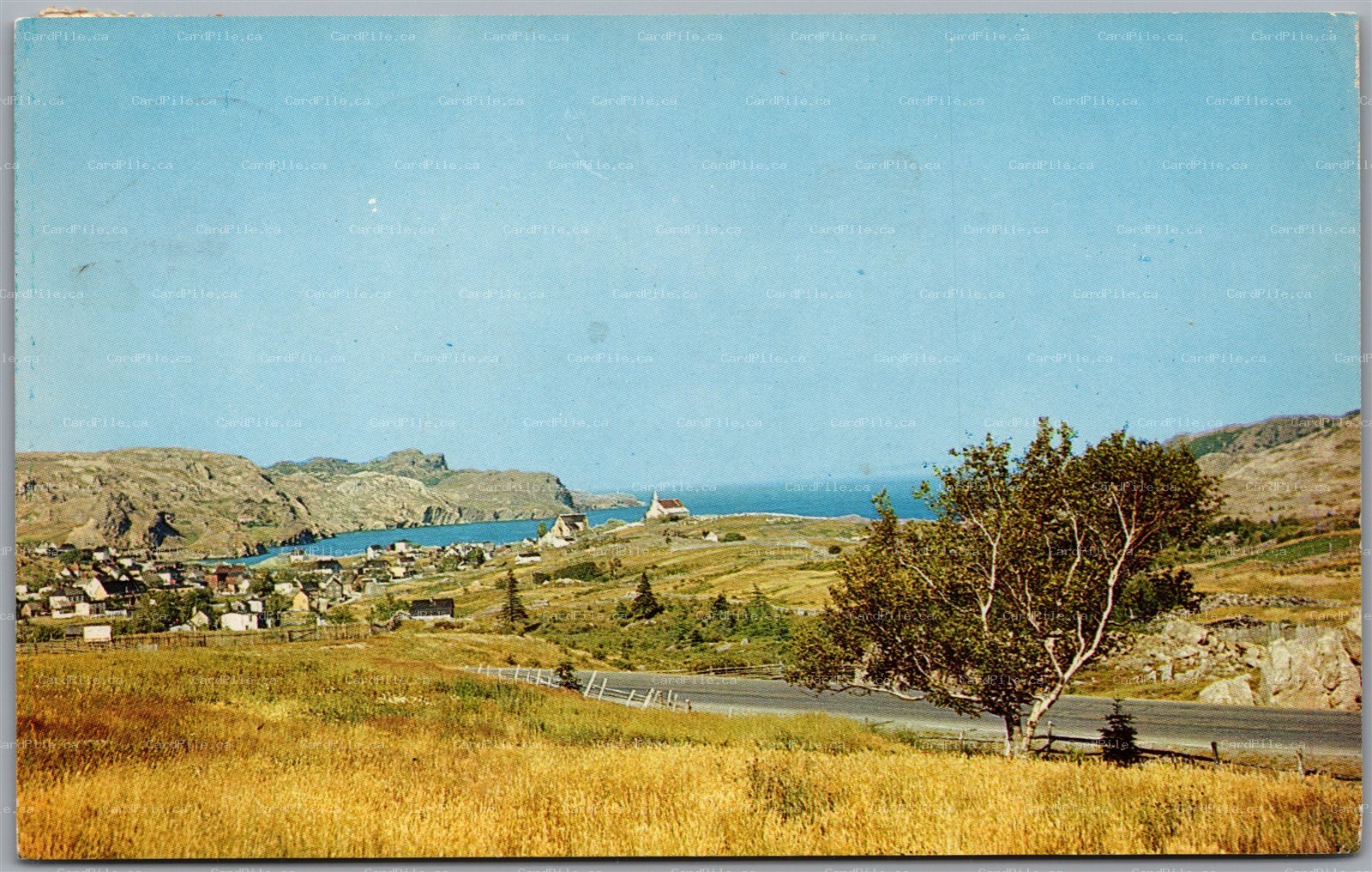 Postcard Brigus Newfoundland Scenic View RPO Cancel Sydney & Truro Nova Scotia