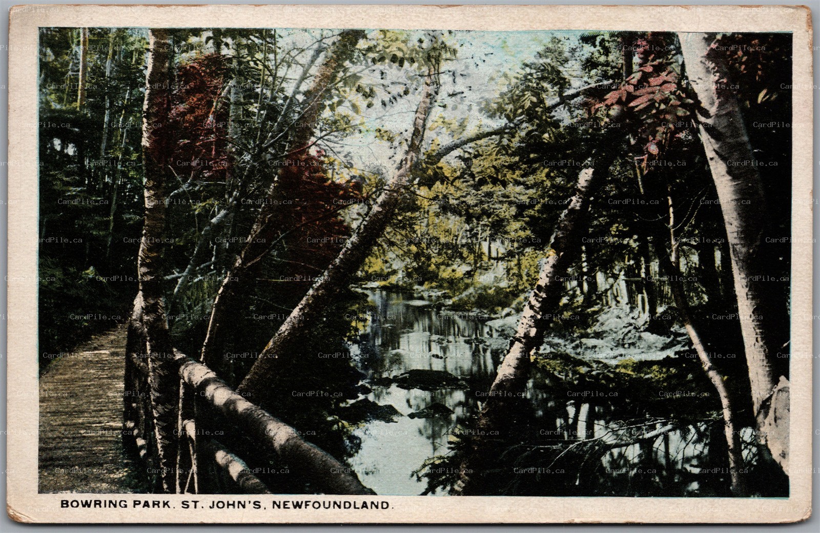 Postcard St. John's Newfoundland c1910s Bowring Park 