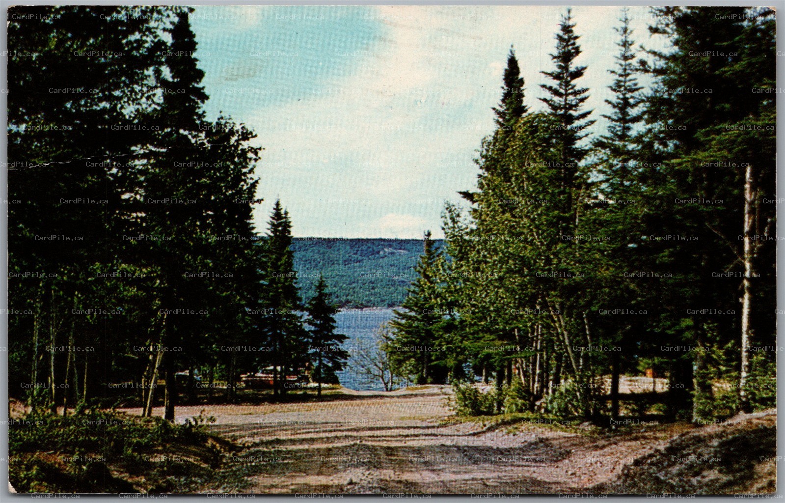 Postcard Deer Lake Newfoundland c1969 Scenic View