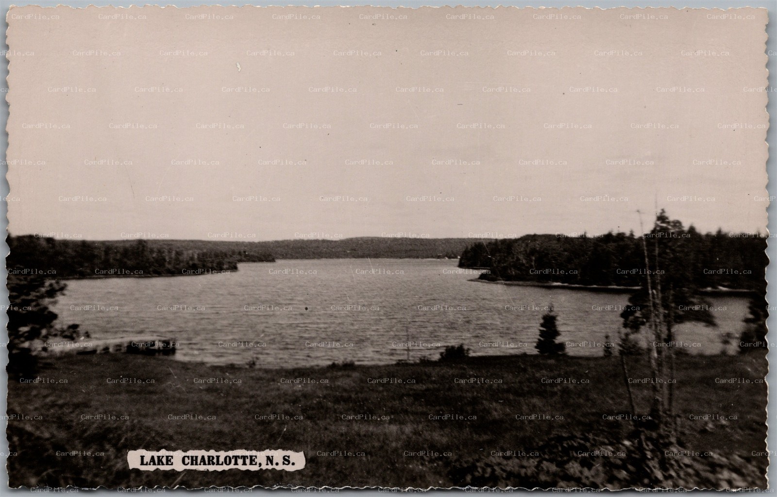 Postcard RPPC Lake Charlotte Nova Scotia Scenic View