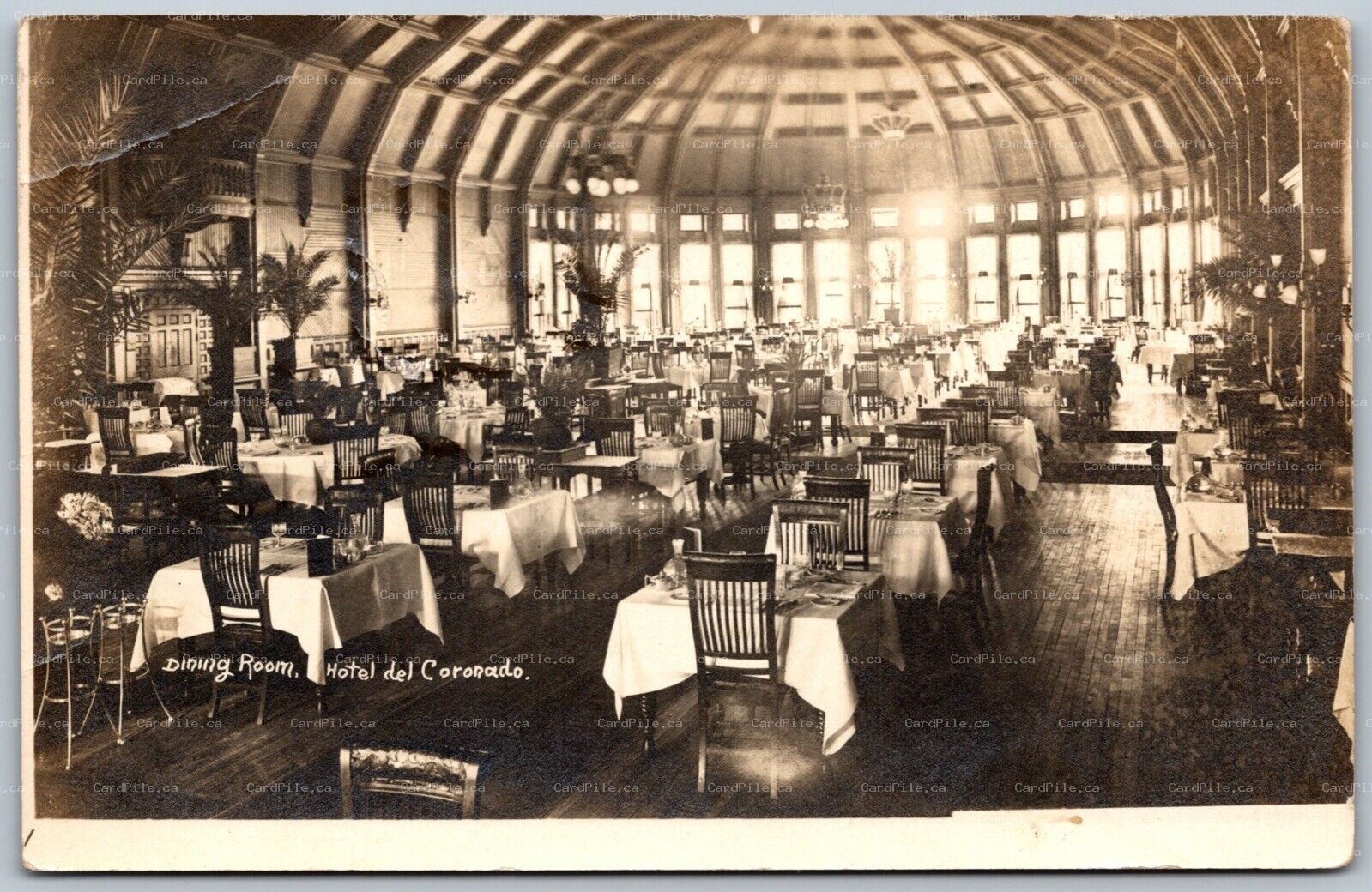 Postcard RPPC c1913 California Hotel del Coronado Interior Dining Room by Taylor