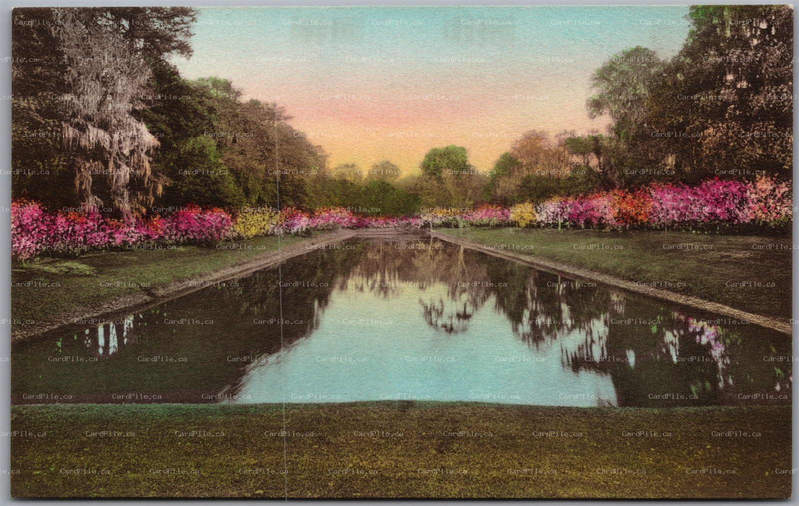 Postcard Charleston South Carolina Long Lake Middleton Place Gardens Albertype